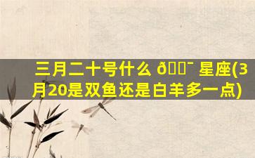 三月二十号什么 🐯 星座(3月20是双鱼还是白羊多一点)